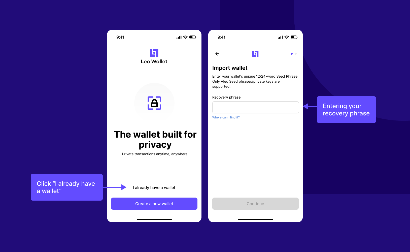 Import an Existing Wallet – Leo Wallet