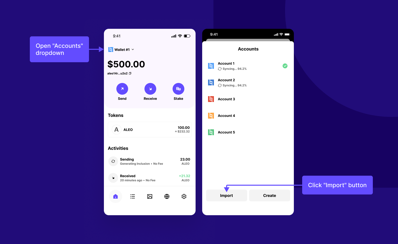 How to Add an Account with Its View Key 1.png