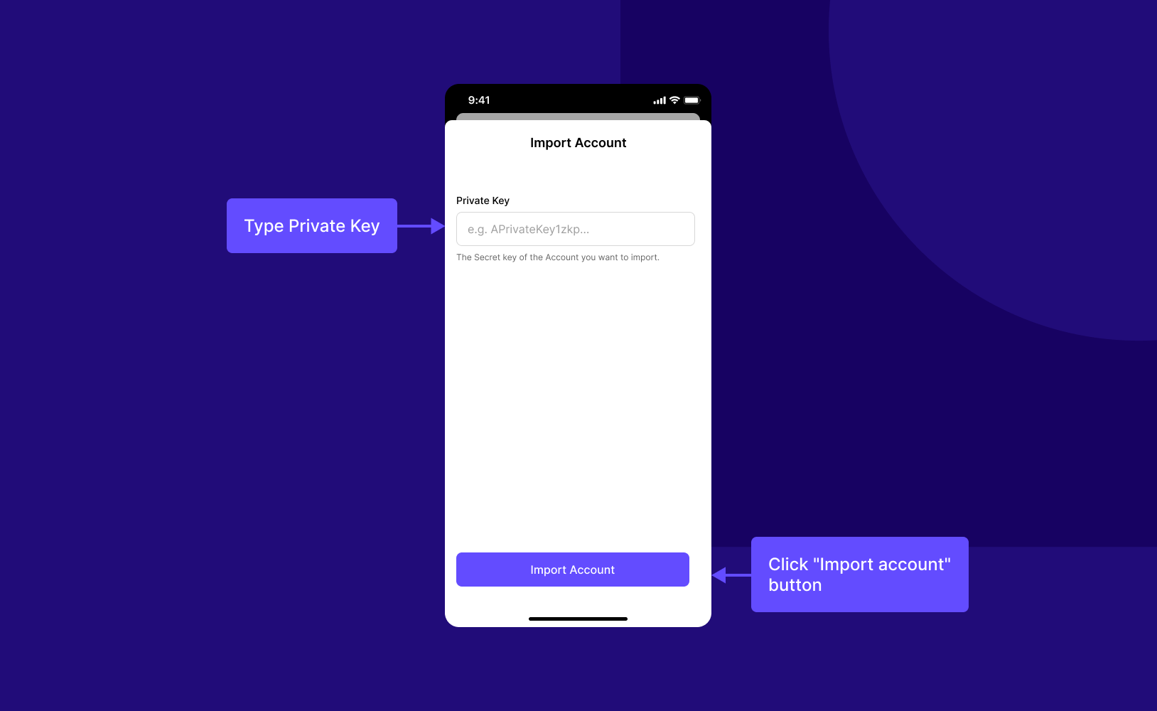How to Add an Account with Its View Key 2.png