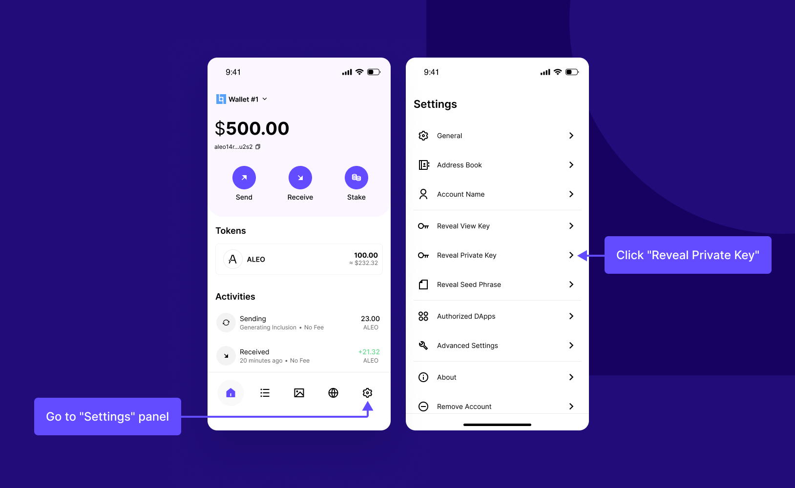 Steps to show Private Key 1.png